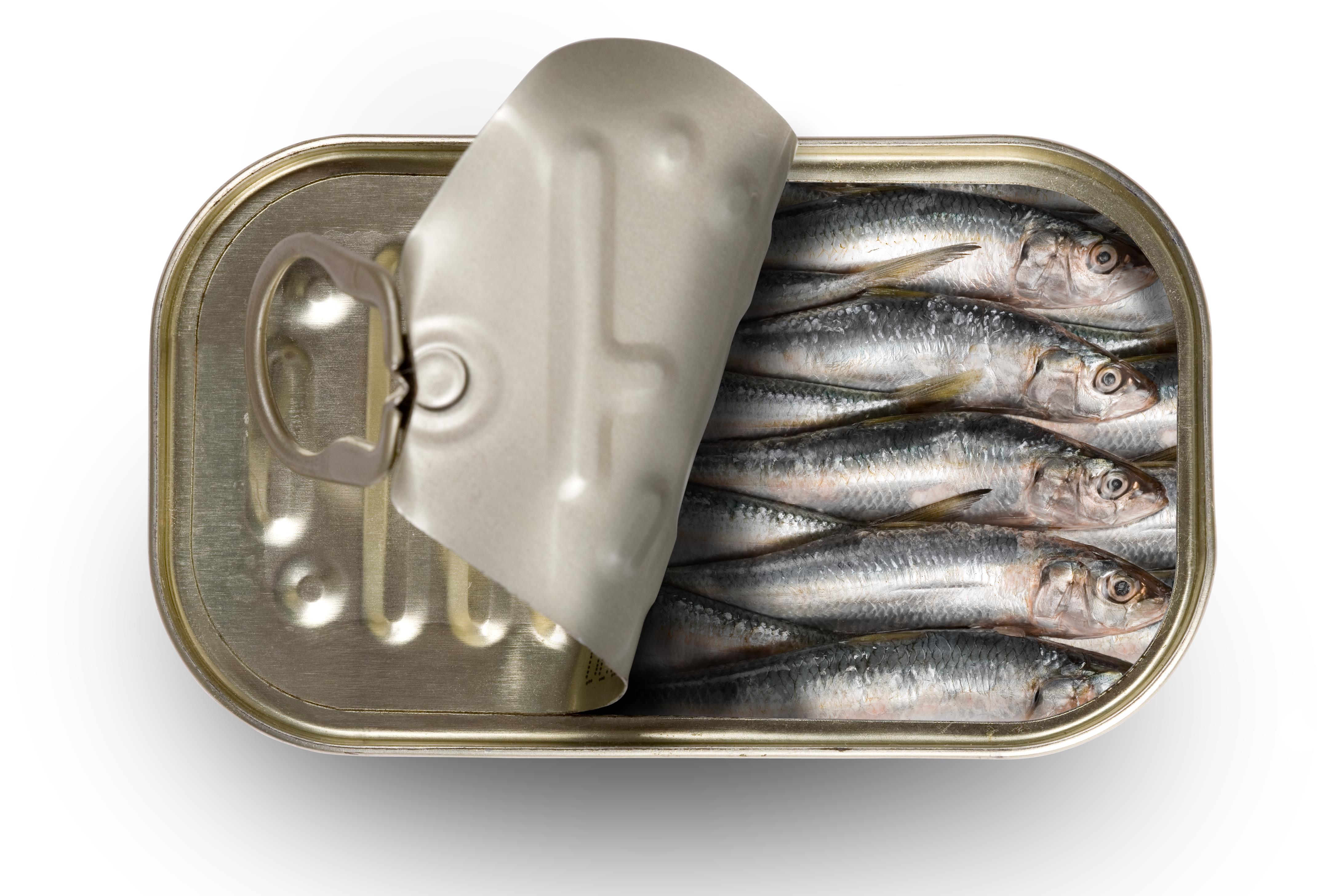 Onhandig Sijpelen Dokter Kan ik 'sardines in blik' nemen tijdens de zwangerschap? | Voedingscentrum